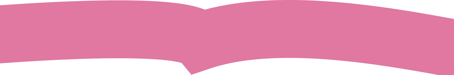 section separator