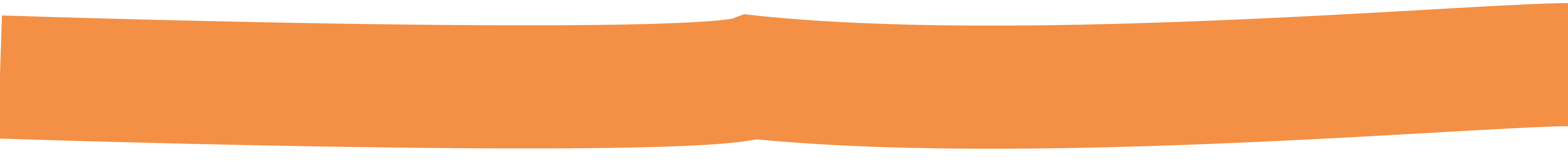 section separator