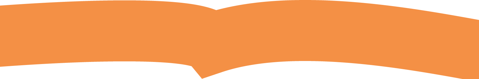 section separator